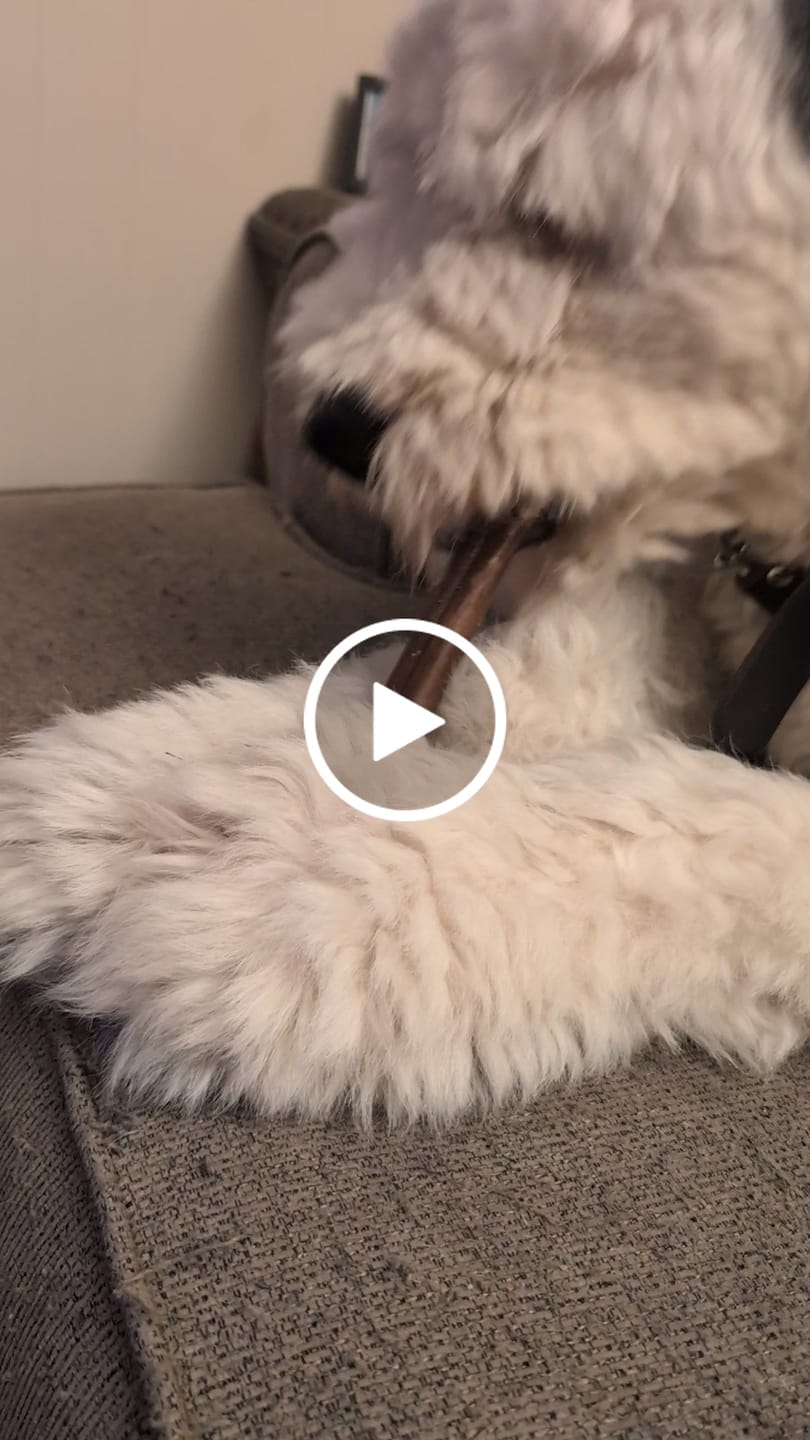 Customer video review of Super Bull Sticks