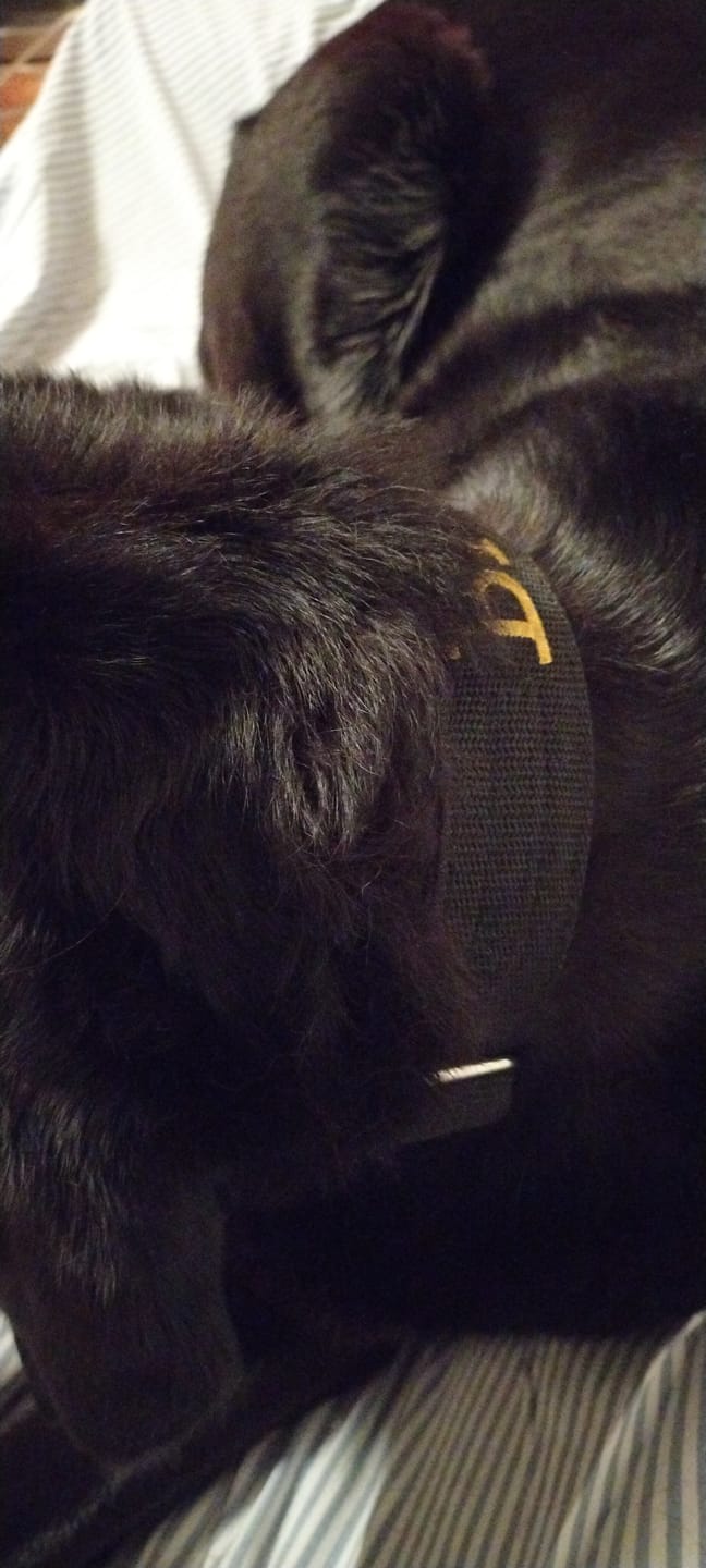 Customer photo review of Extreme Buckle med namn
