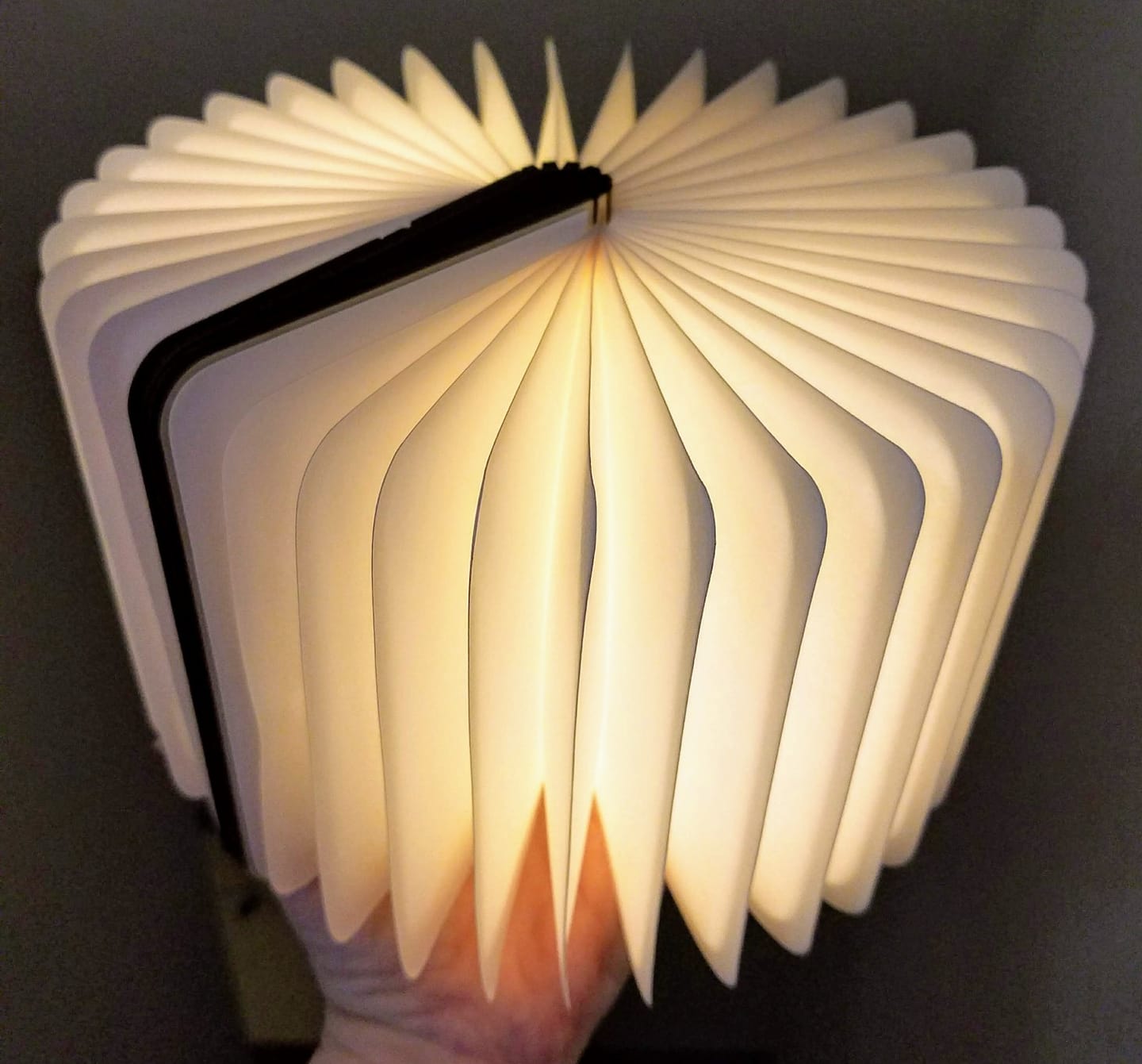 Customer photo review of Foldable Book Lamp | 360° Portable LED Table Light in Wood | USB Rechargeable, 3 Modes, 8-Hour Battery