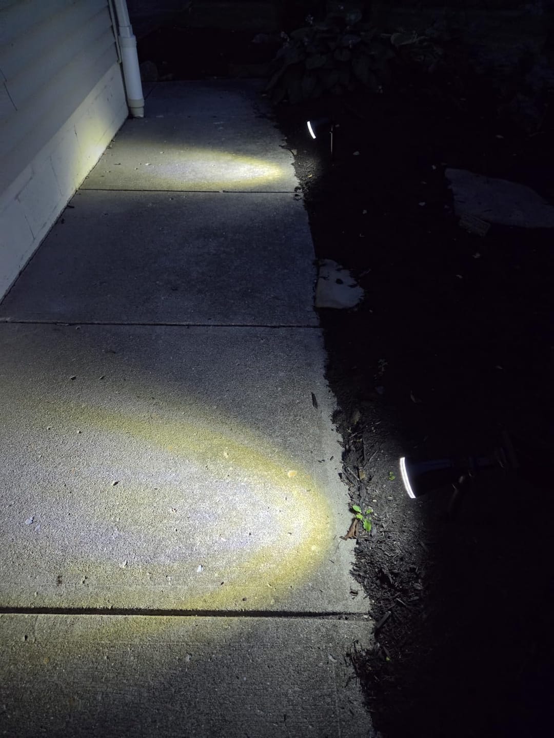 Customer photo review of Solar Spotlight Outdoor | Adjustable Aluminum Tree & Landscape Light | IP65, 3000K Warm White, Stake Mount