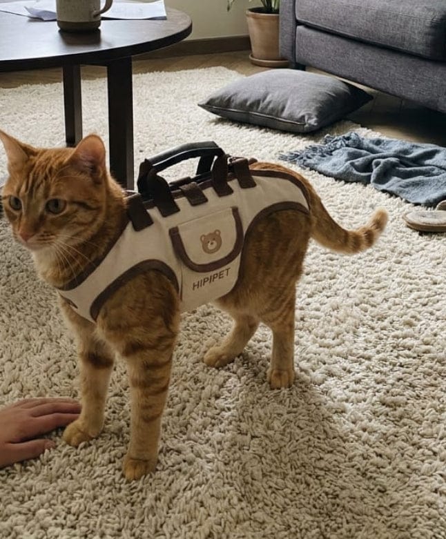 Customer photo review of Pawsy®Multifunctional Backpack with Strap™