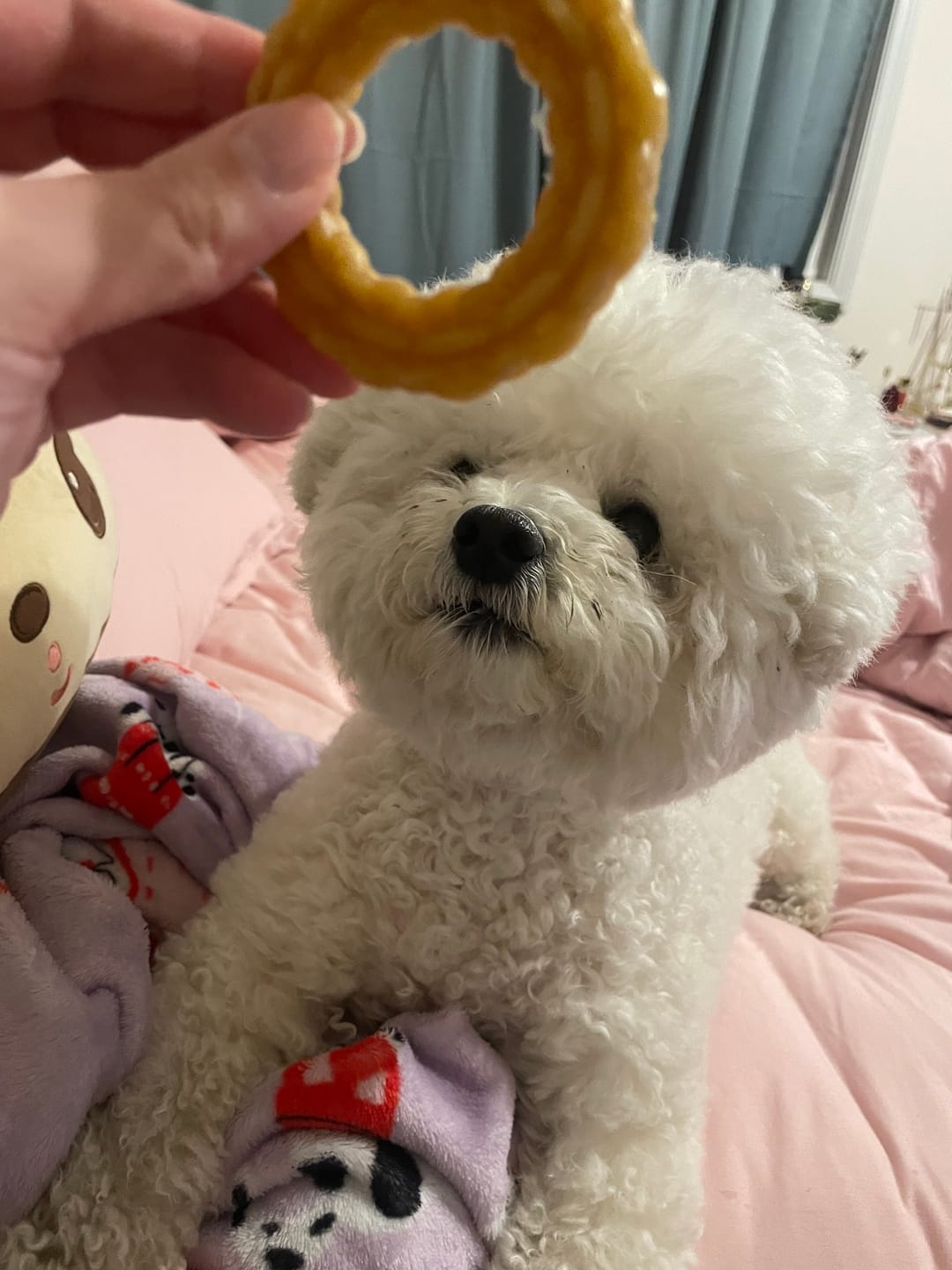 Customer photo review of Dental Ring Rope Brush Coconut (relax, Stress relief)