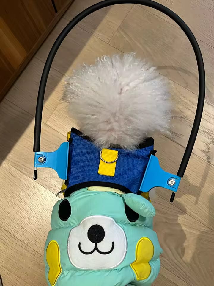 Customer photo review of Dog Halo for Blind Dogs