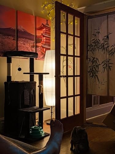 Customer photo review of Rice Paper Floor Lamp | 54 in Paper Column on a Slim Metal Frame | Japandi Style, 2-Bulb, Plug-In