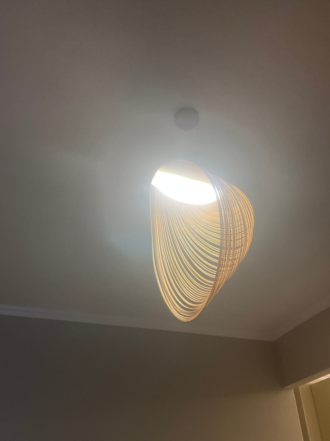 Customer photo review of Shell Wooden LED Pendant Light