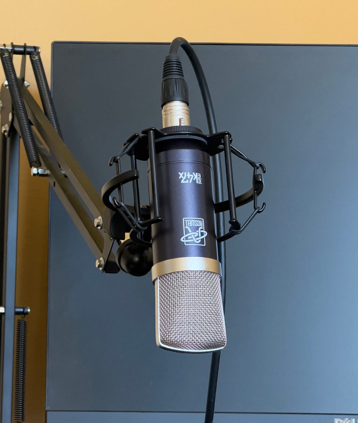 Customer photo review of Mini K47x Condenser Microphone