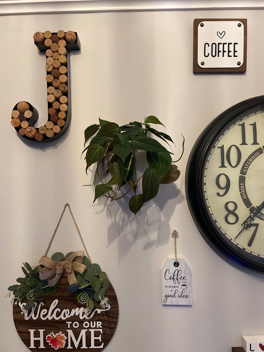 Customer photo review of Philodendron hederaceum 'Micans'