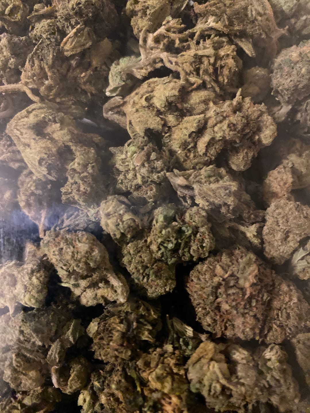 Customer photo review of Light Assist THCA Smalls