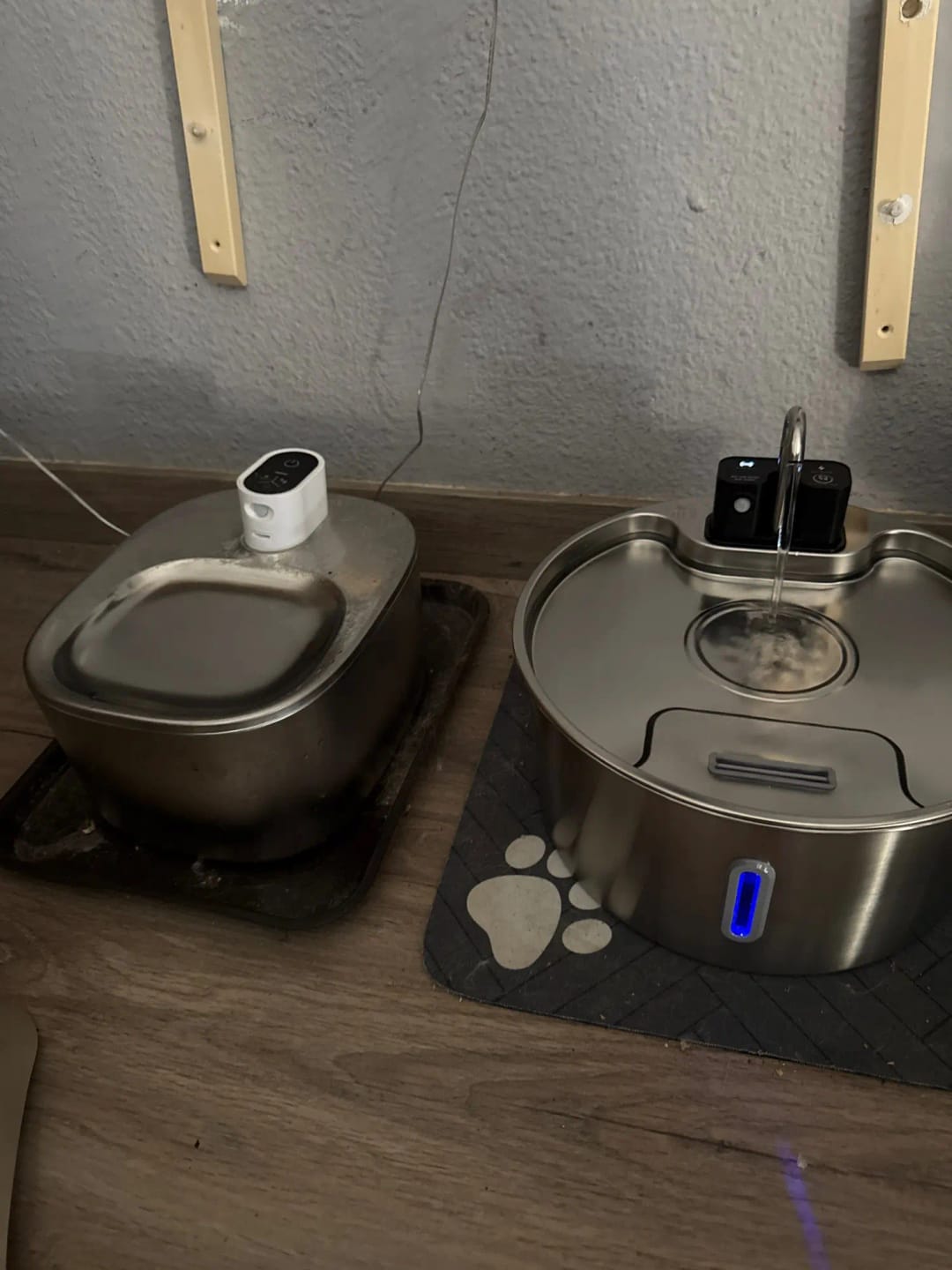 Customer photo review of Motion-Sensor Stainless Steel Pet Fountain