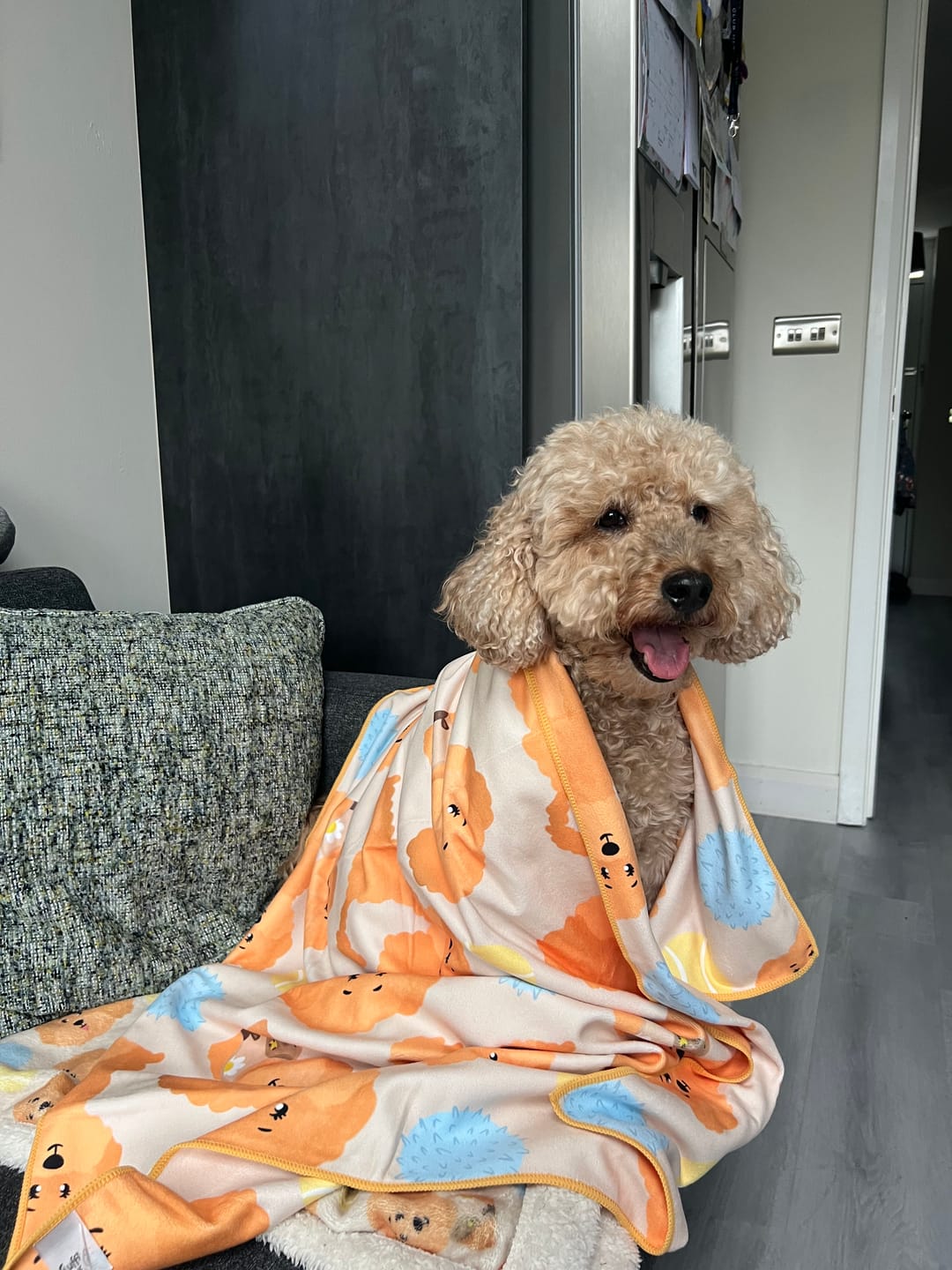 Customer photo review of Quick Drying Towel - Curly Club