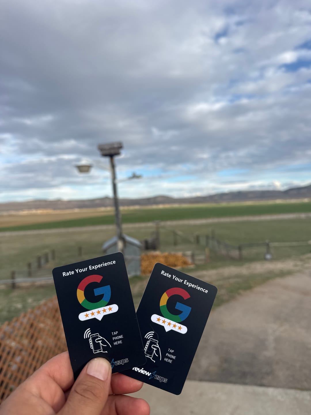 Customer photo review of Zappy Cards