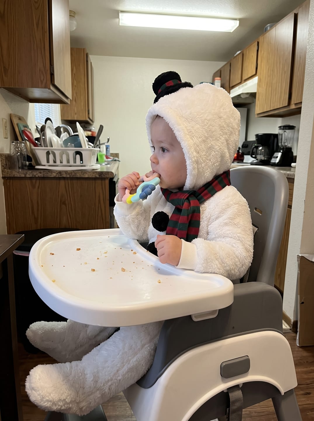 Customer photo review of Disfraz Navideño para Bebé