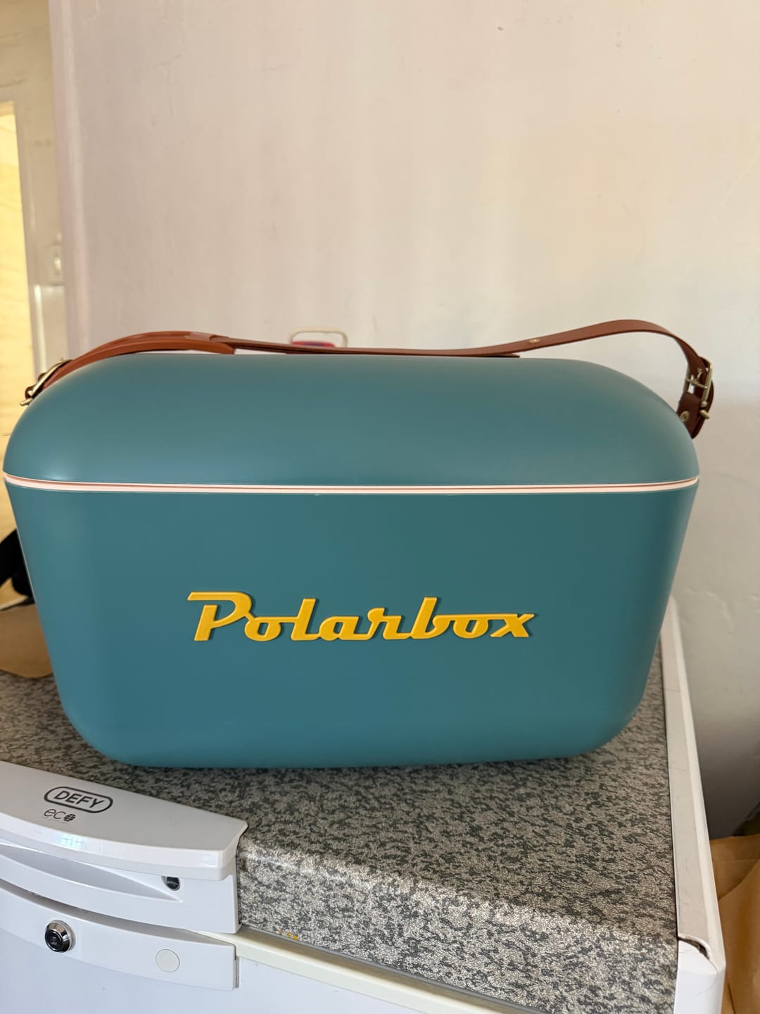 Customer photo review of Polarbox Retro Cooler Box 12L | 20L Marine Blue