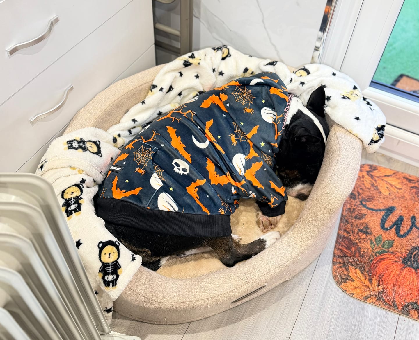 Customer photo review of Velvet Human Hoodie - Snow Cone
