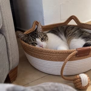 Customer photo review of Nuvora Cesta Felina