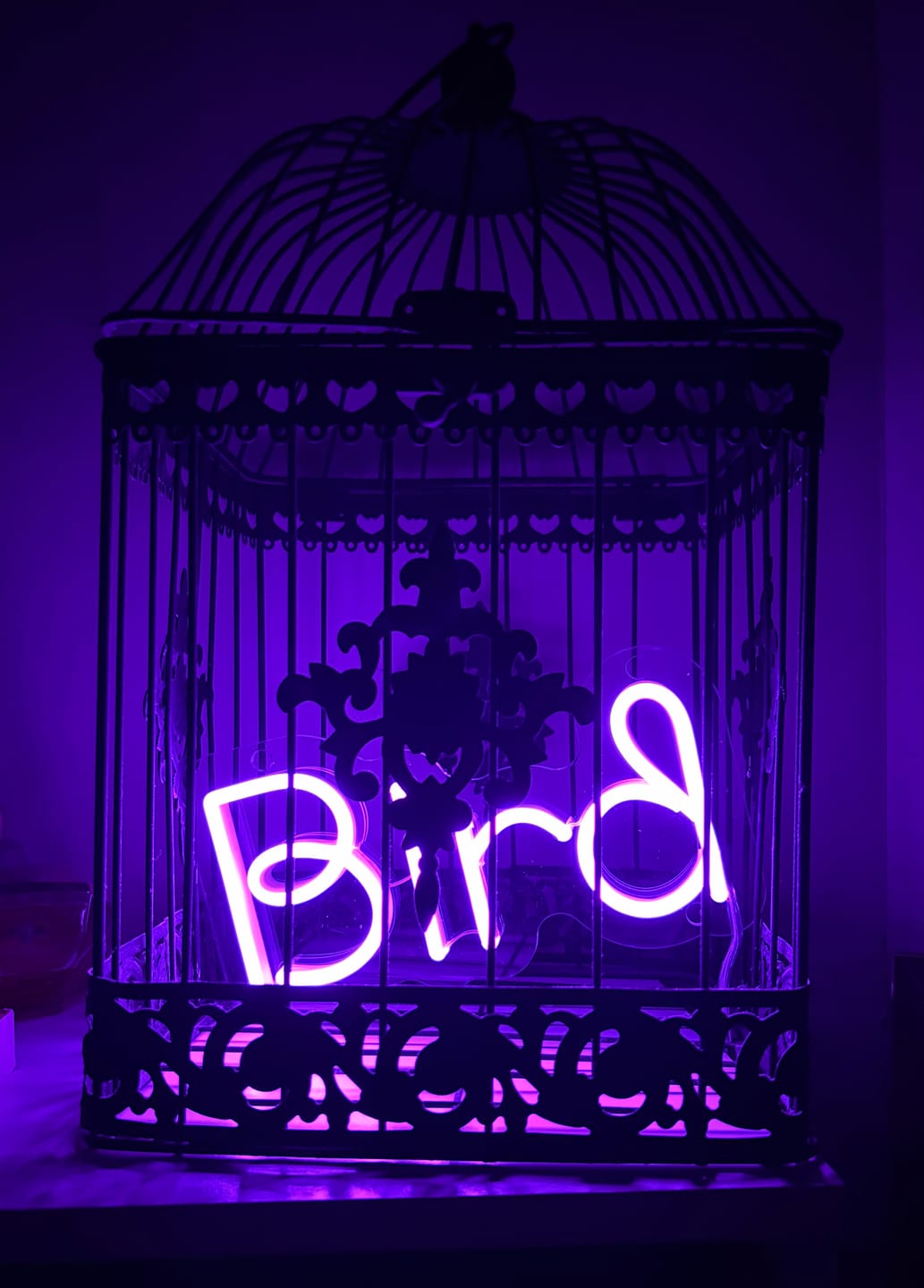 Customer photo review of Custom neon sign Bird