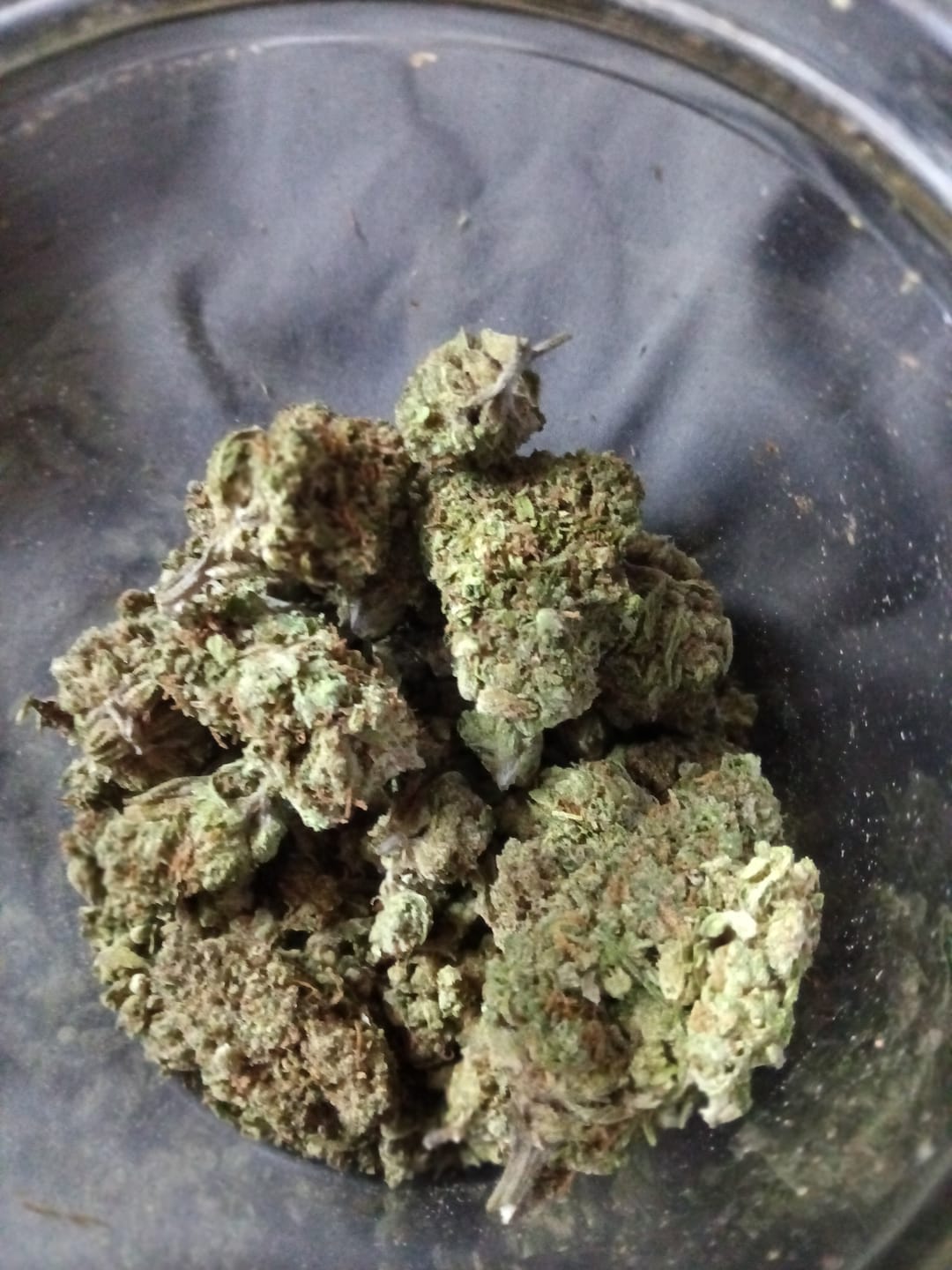 Customer photo review of THCA Queen
