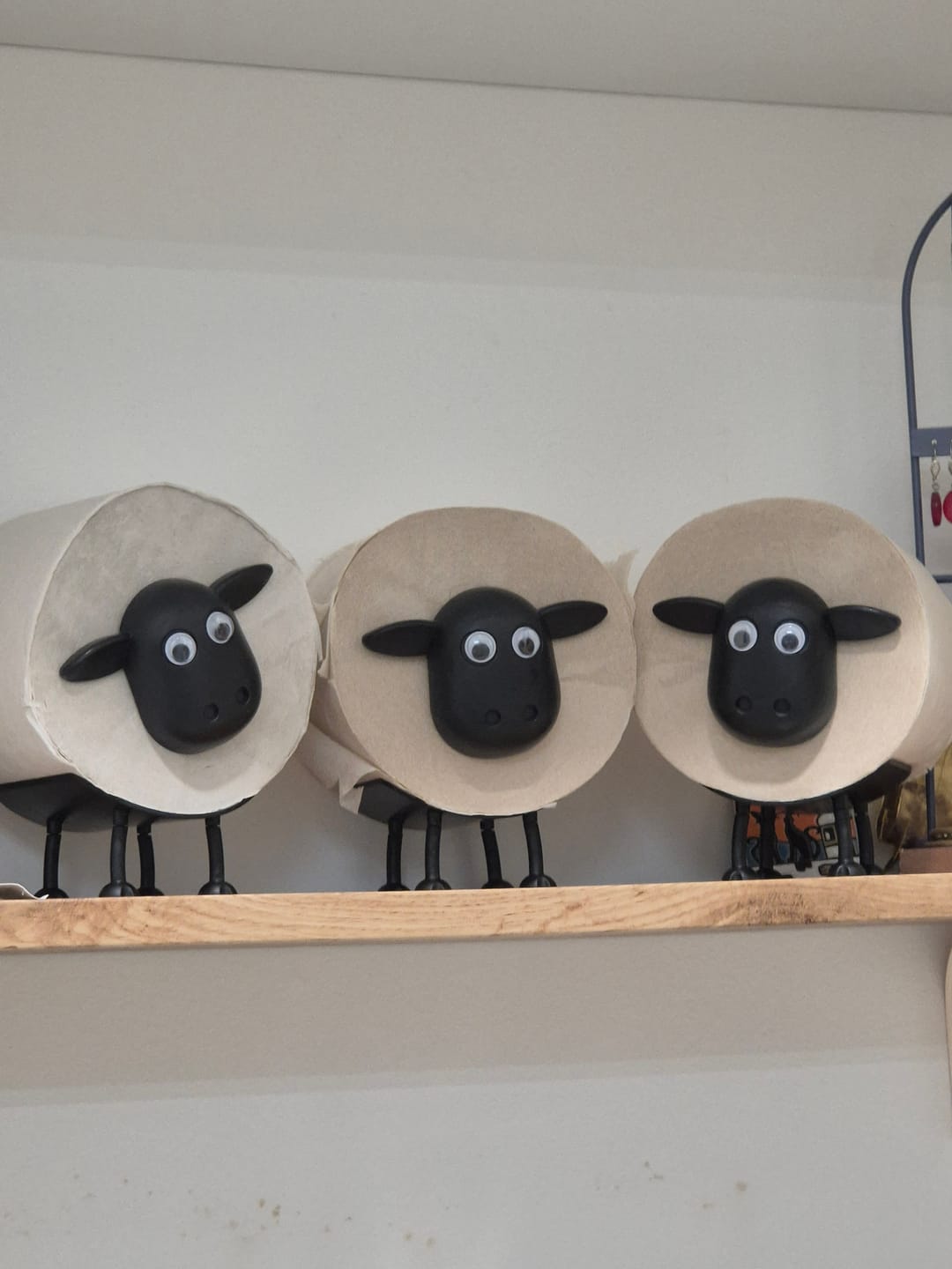 Customer photo review of Mon petit mouton®