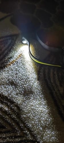 Customer photo review of Luxelight LED Headlamp™