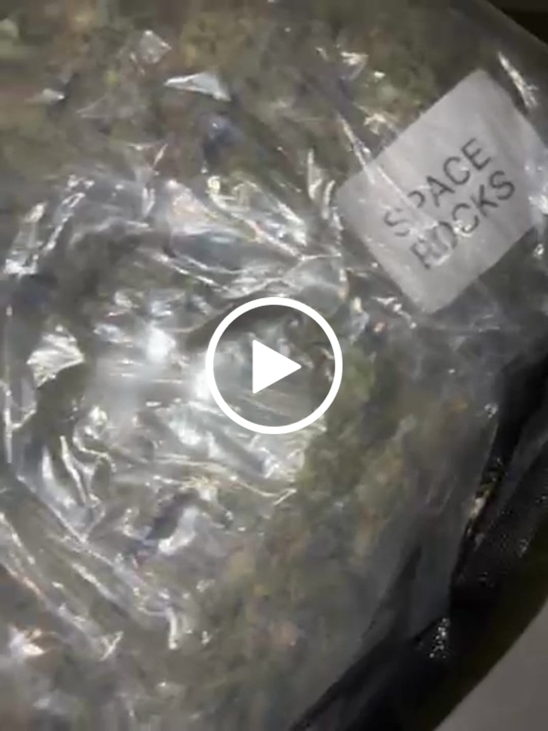 Customer video review of Space Rocks (Light-Assisted) – Bulk THCA Flower 1 lb