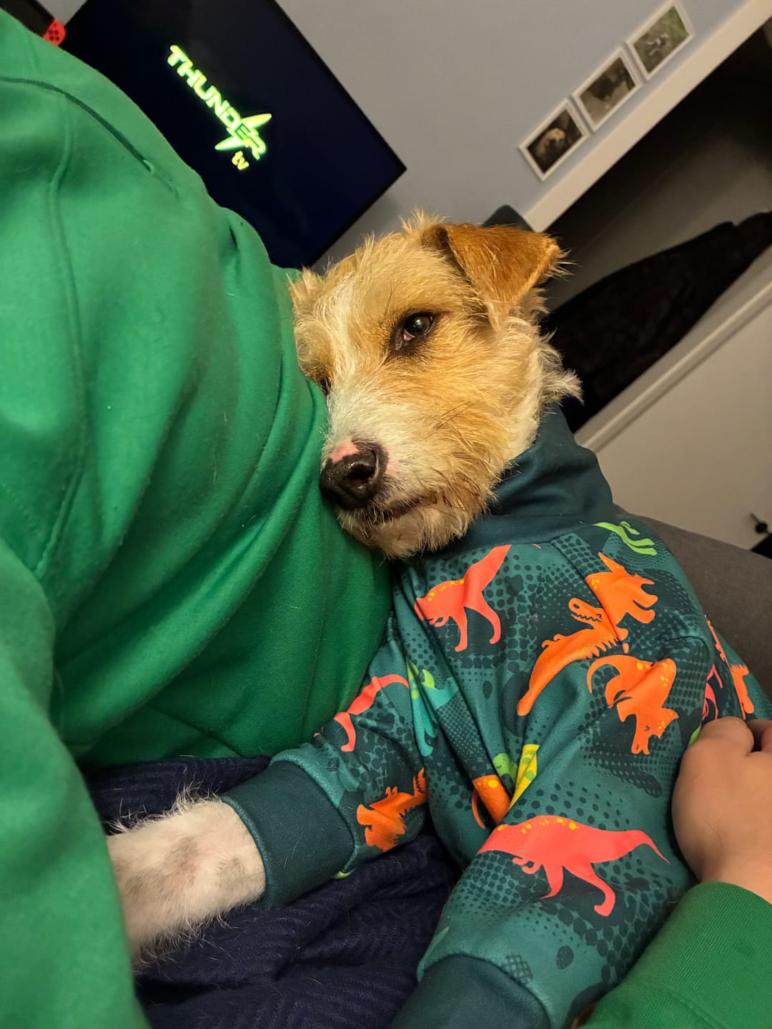 Customer photo review of Dog Pajama - Dinosaurs