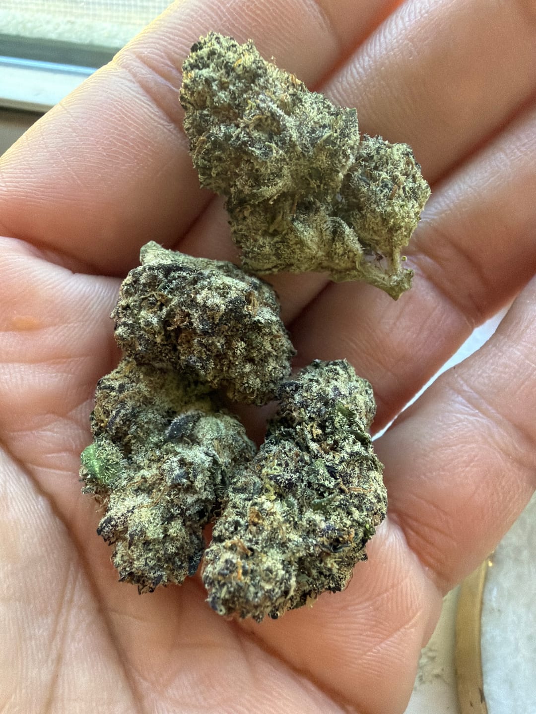 Customer photo review of Exotic Indoor Express THCA Flower (7 Grams)