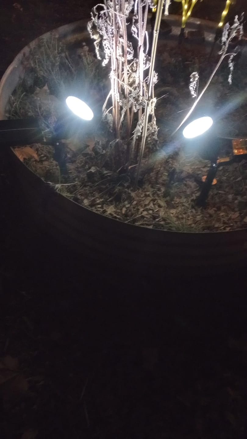 Customer photo review of Solar Spotlight Outdoor | Adjustable Aluminum Tree & Landscape Light | IP65, 3000K Warm White, Stake Mount