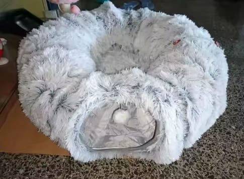 Customer photo review of Cozy Cat Tunnel & Bed