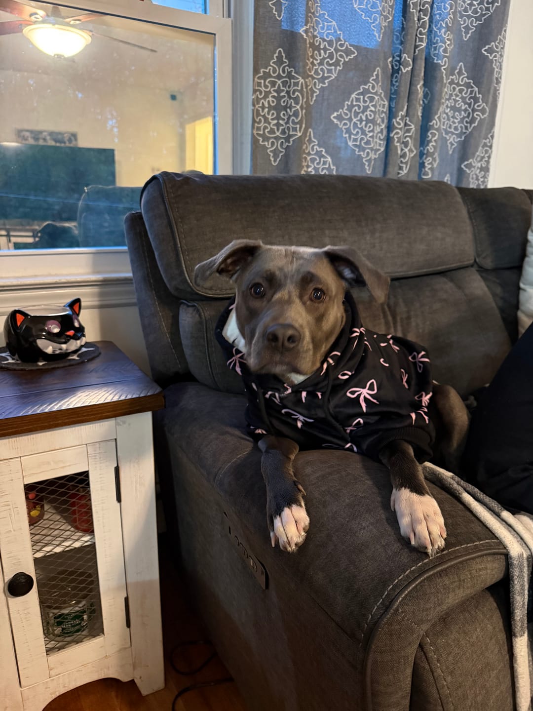 Customer photo review of Dog Hoodie Prints