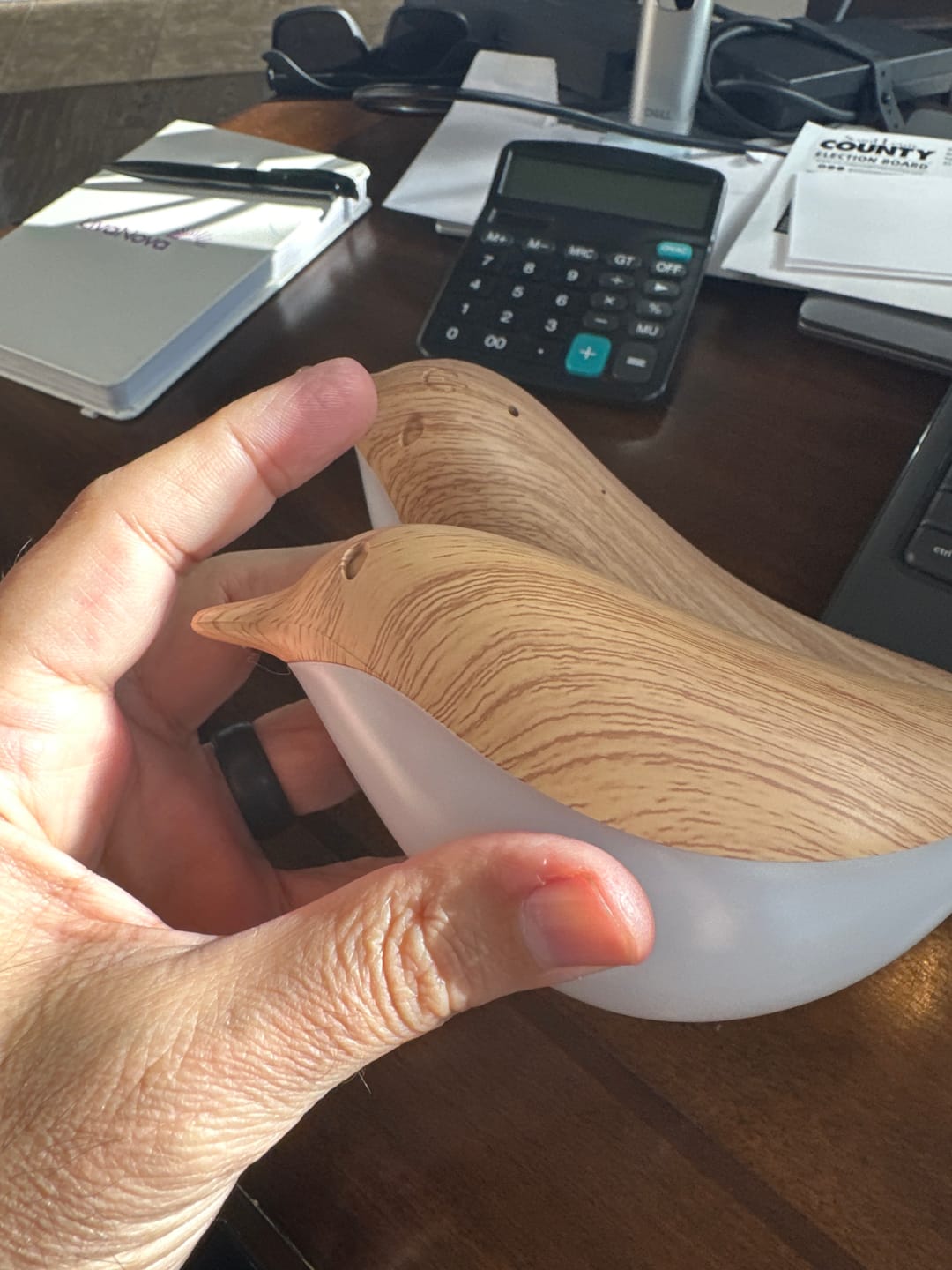 Customer photo review of Glow Bird