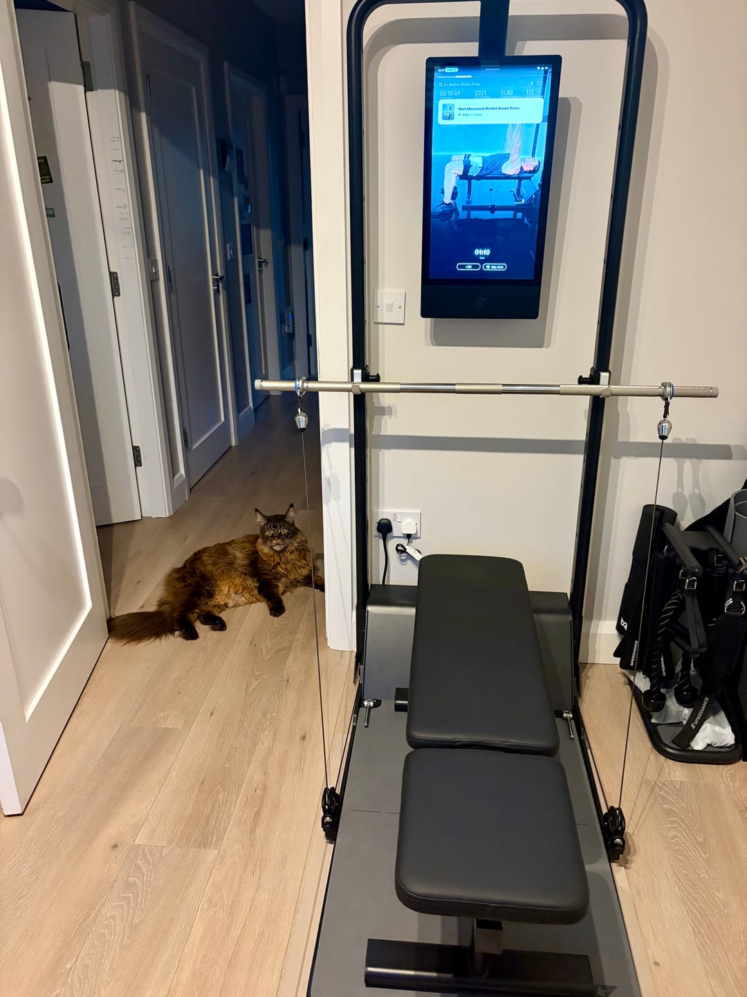 Customer photo review of Speediance Gym Monster 2