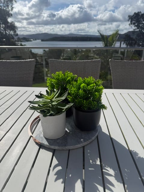 Customer photo review of Small Potted Artificial Flowering Hop Plant UV Resistant 20cm