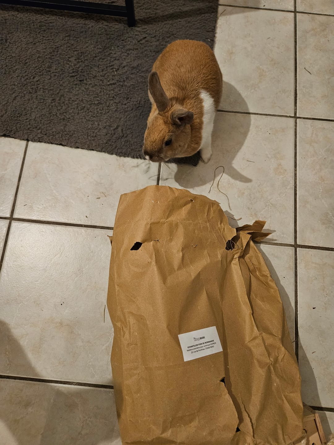 Customer photo review of Box découverte - Foin & Friandises naturelles