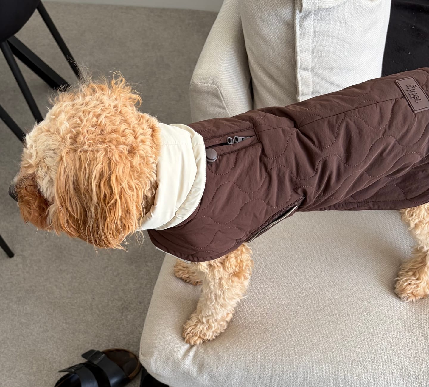 Customer photo review of Chocolate | The Capsule Quilted Coat