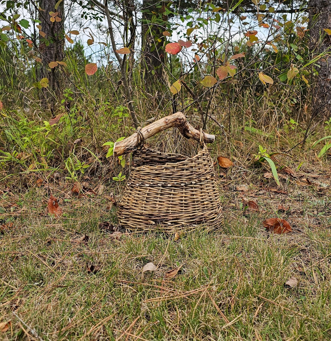 Customer photo review of The Asymmetric Basket Course and Kit