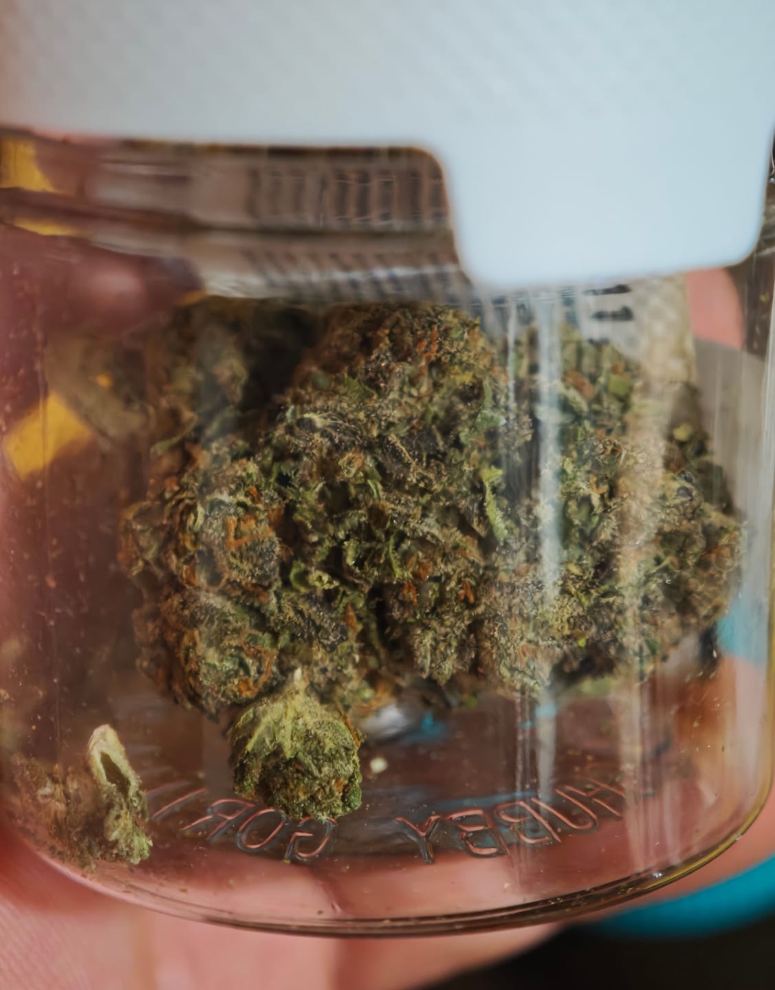 Customer photo review of THC-A 34% Blüten Do-Si-Dos x Gelato