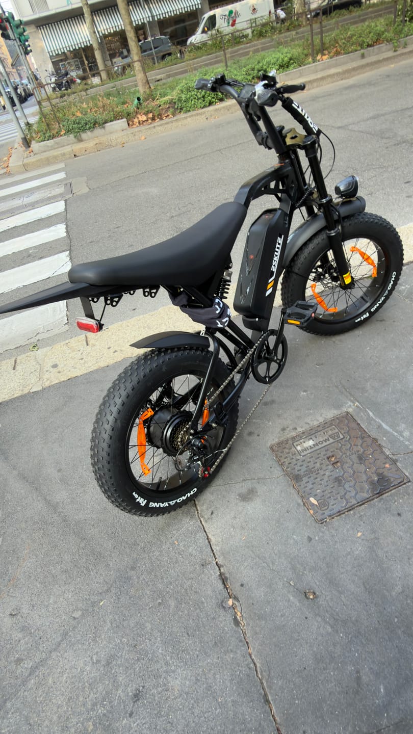 Customer photo review of Eskute V202 Retro E-Bike