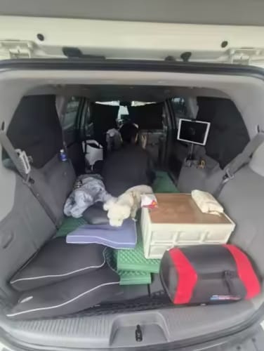 Customer photo review of Car Privacy Curtains