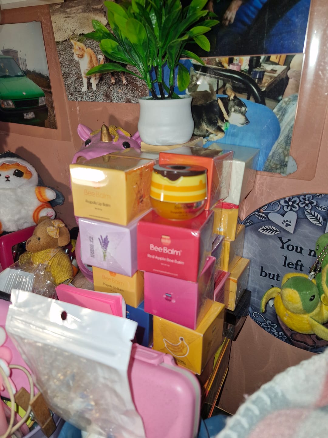 Customer photo review of S'mores Bee Balm - Limited Edition