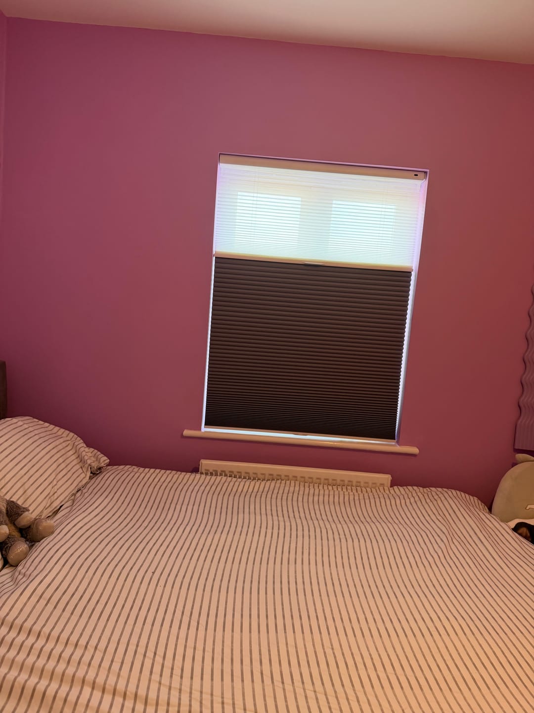 Customer photo review of No Drill No Tools Cellular Shades