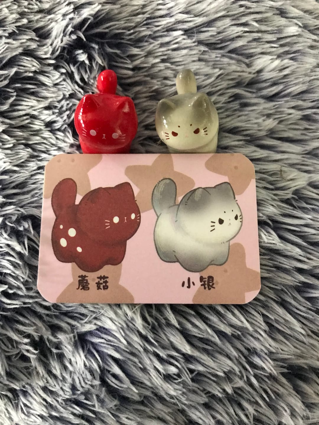 Customer photo review of Meow Group Series Mini Beans Blind Box