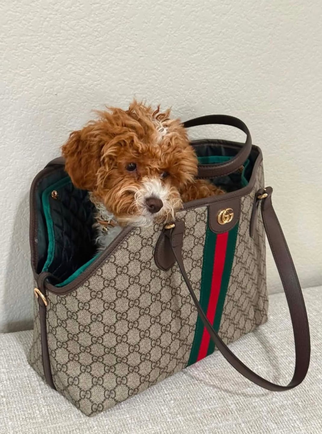 Customer photo review of Rose Bag