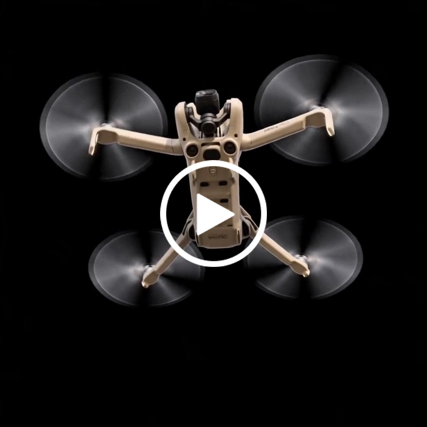 Customer video review of Custom Animation