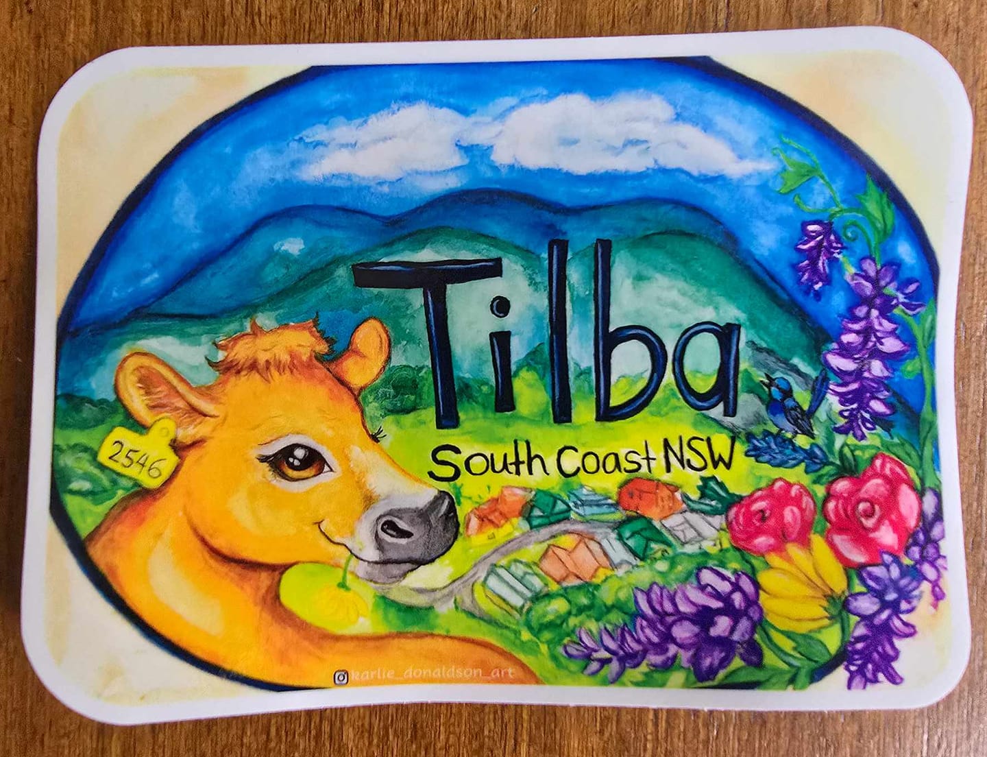 Customer photo review of Custom Die Cut Stickers - Premium Laminated White Vinyl
