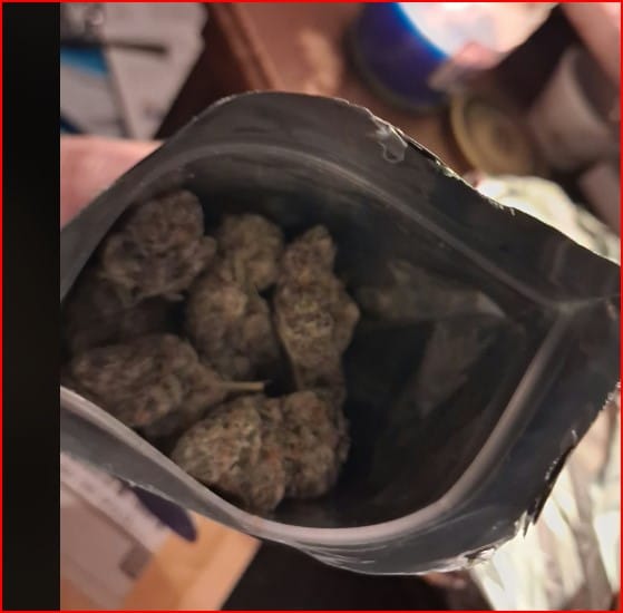 Customer photo review of Blue Dream THCA Flower (Exotic)