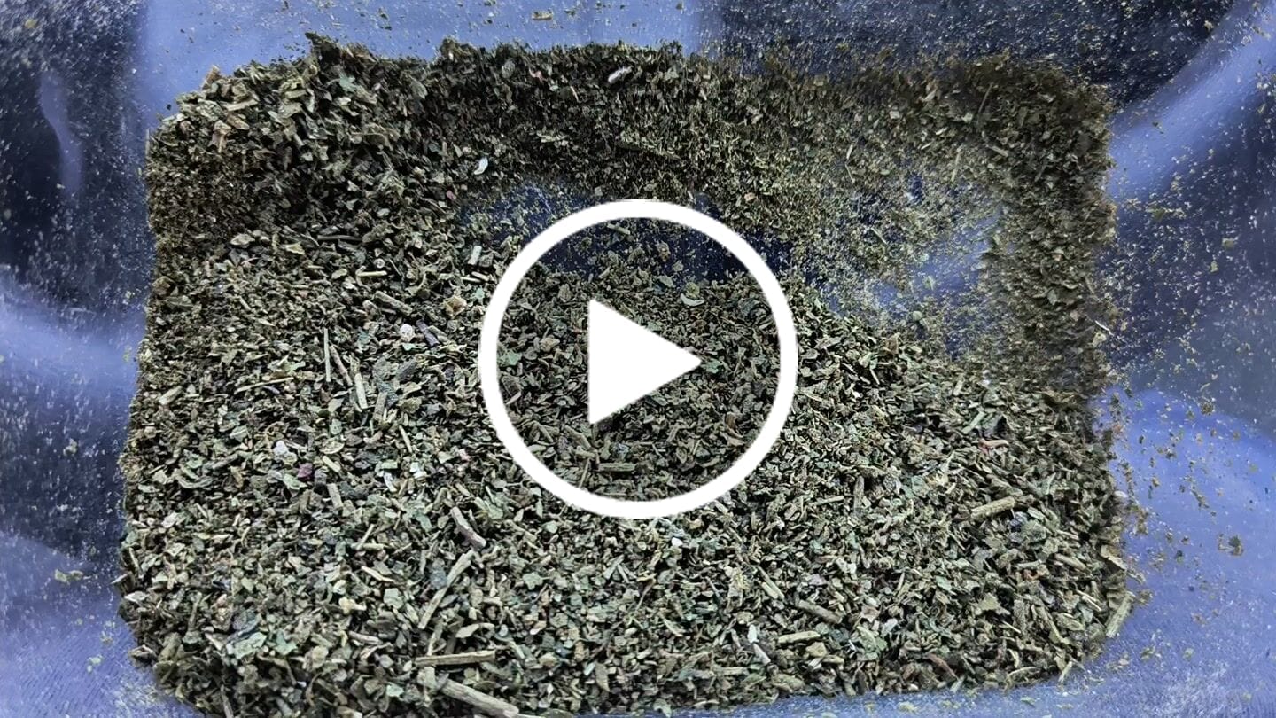 Customer video review of 4OZ Shake Bundle