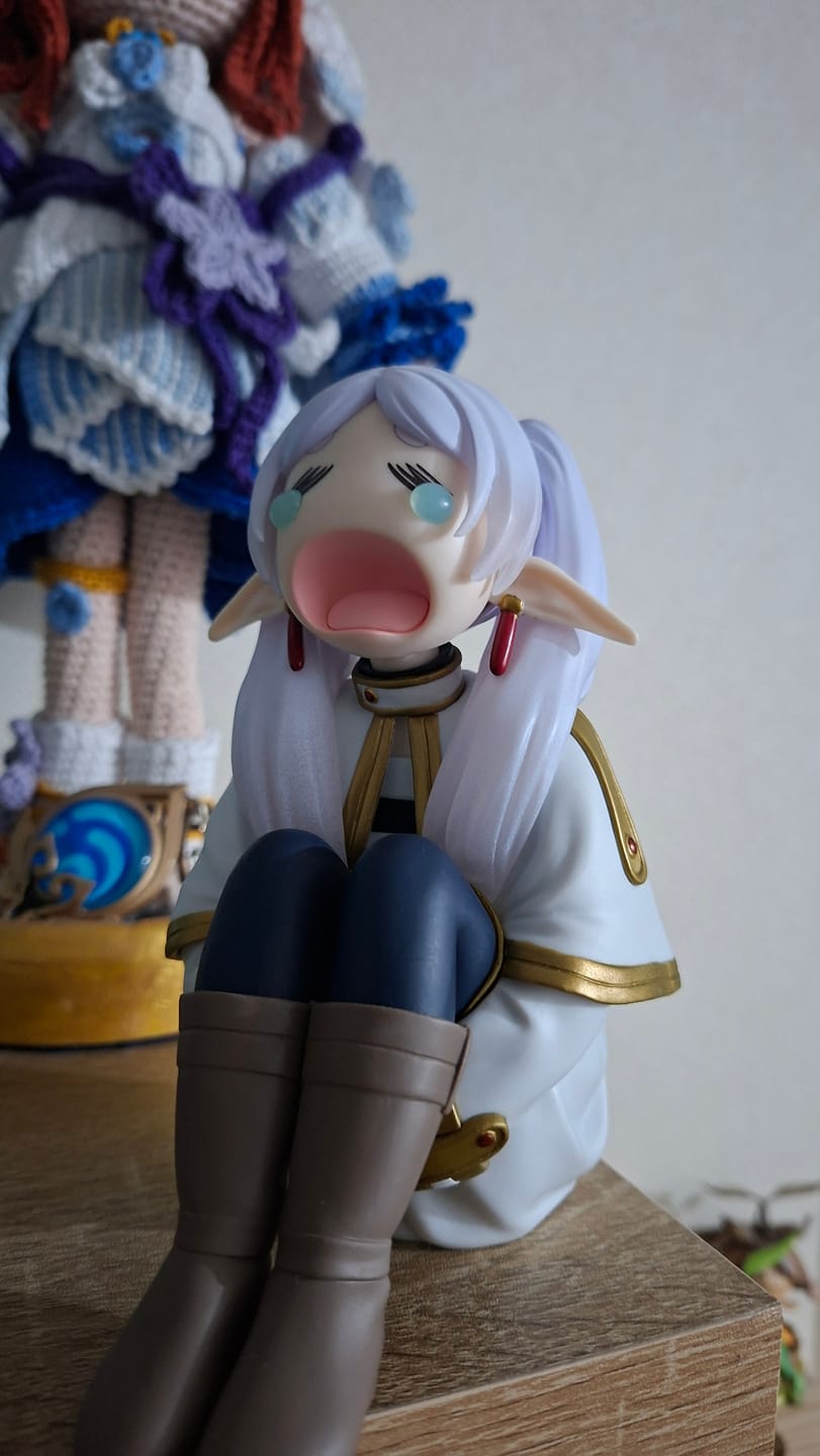 Customer photo review of Sousou no Frieren - Frieren - Uon (Bandai Spirits)