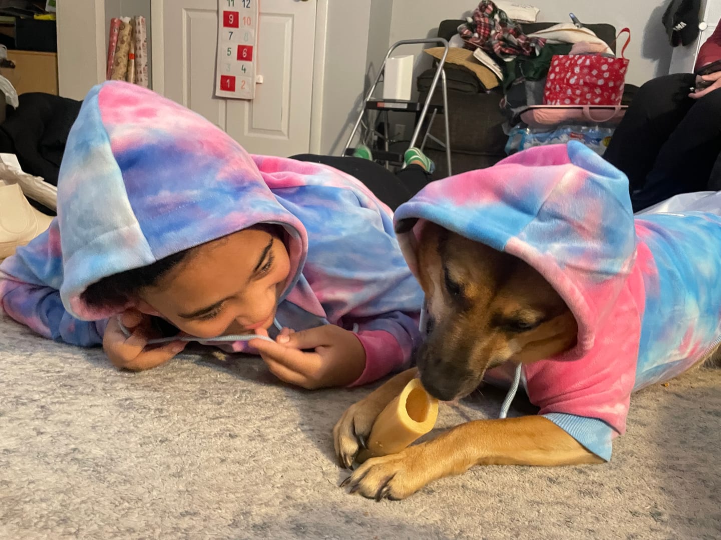 Customer photo review of Velvet Dog Hoodie - Snow Cone