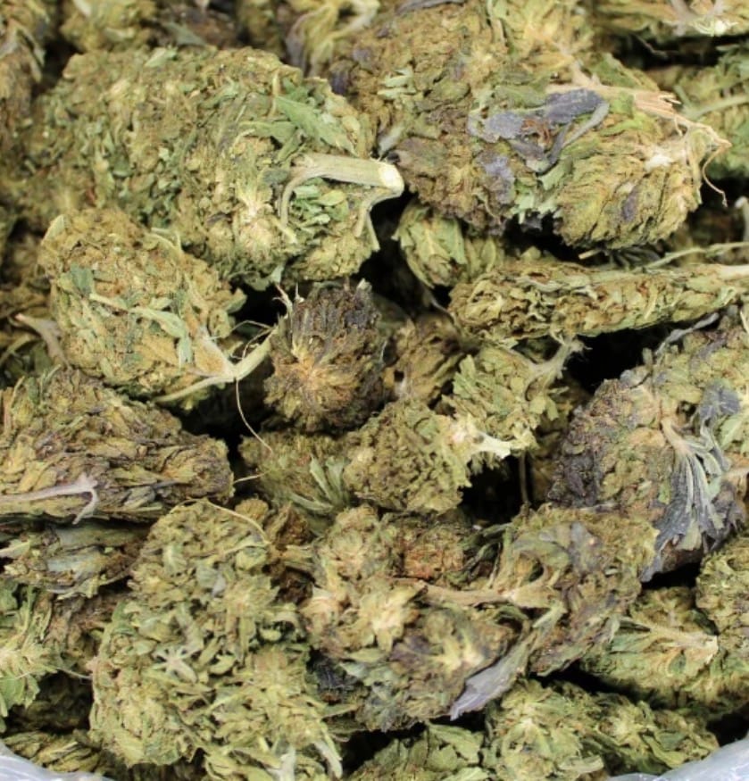 Customer photo review of Bulk THCA Flower Pounds