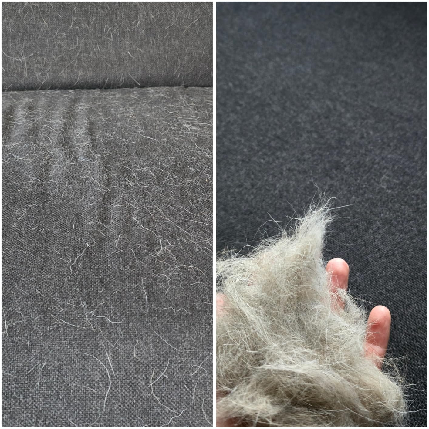 Customer photo review of PetGlide- Genieße kuschelige Momente – ganz ohne lästige Tierhaare.